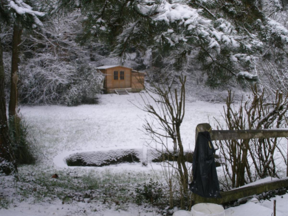 Bed & Breakfast D'hotes Du Moulin