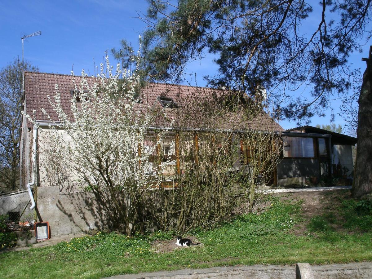 D'hotes Du Moulin *